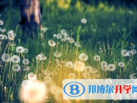遂寧2022年中考自主招生報名