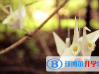 遂寧2022年中考自主招生成績