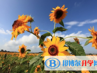 遂寧2022年今年中考哪些學校有招生