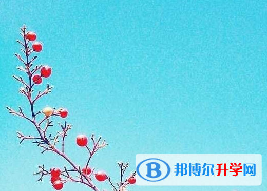 遂寧2022年中考的規則
