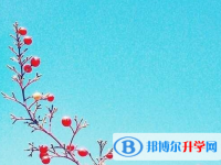 遂寧2022年中考的規則