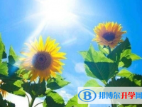 遂寧2022年中考的統招和調劑說明