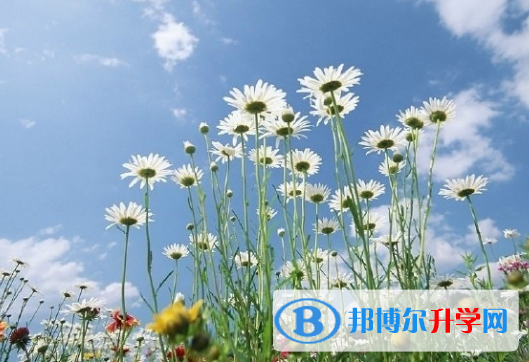 遂寧2022年中考技巧和注意事項