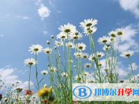 遂寧2022年中考技巧和注意事項