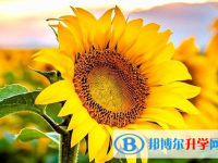 遂寧2022年中考升學率