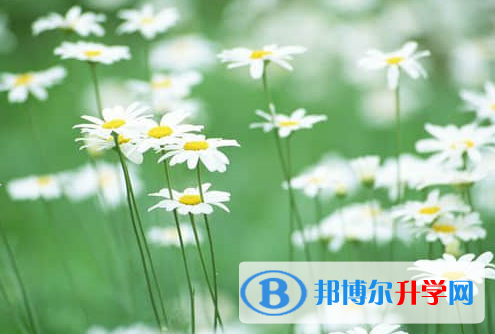 遂寧2022年中考應對策略