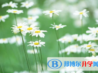 遂寧2022年中考應對策略