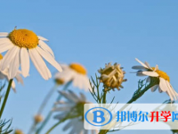 遂寧2022年中考重點復習