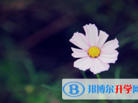 遂寧2022年中考注意事項和技巧
