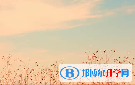 遂寧2022年中考模擬填報志愿