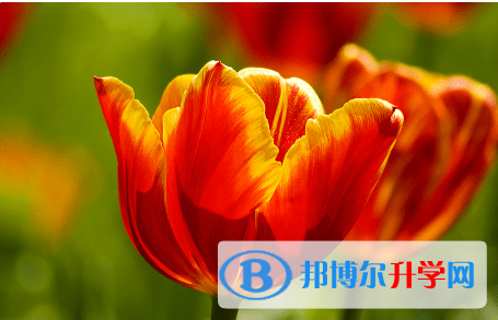 內江2022年怎樣對待中考成績