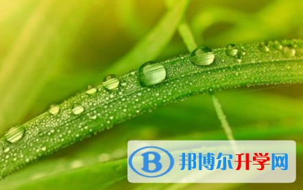 2022年內江參加中考的有多少人