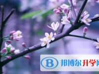 內江2022年中考考試成績