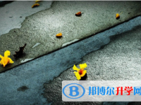 內江2022年中考錄取報名網