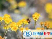 內江2022年中考難度