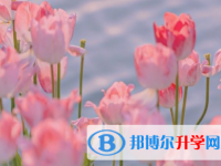 內江2022年中考人數