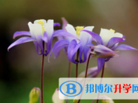 內江2022年中考失利