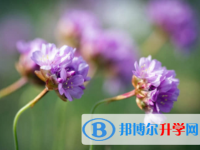 內江2022年中考試卷難嗎
