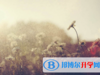 內江2022年中考聽力
