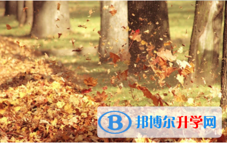 內江2022年中考統考成績