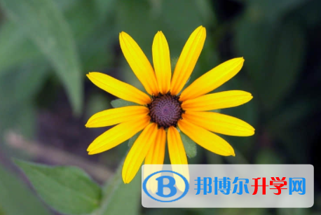 內江2022年中考怎樣填志愿