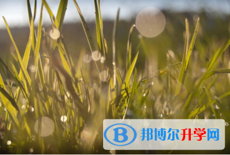 內江2022年中考志愿填法