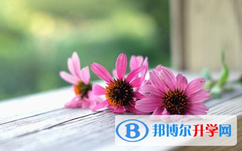 內江2022年中考志愿最好怎樣填