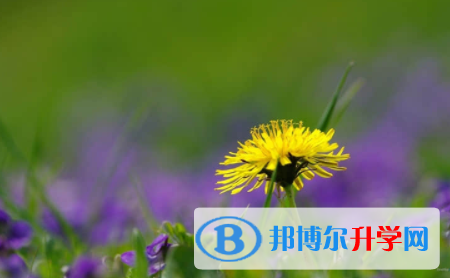 內江2022年外地生參加中考