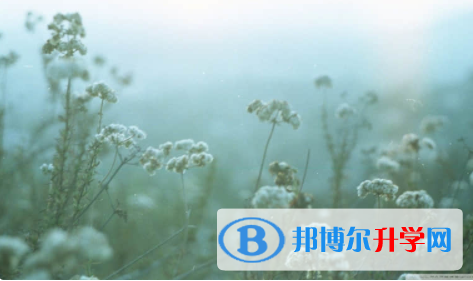 內江2022年今年初中考試時間