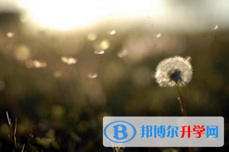 內江2022年中考緊張
