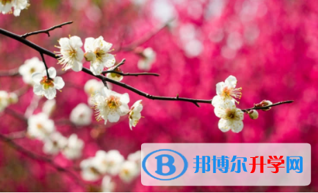 內江2022年中考如果未被錄取怎么辦