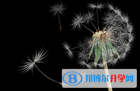 內江2022年中考報名網站登錄