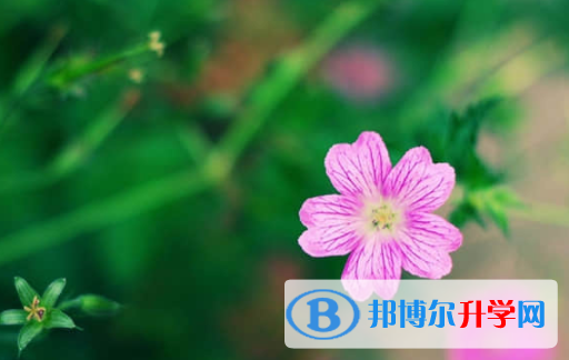 樂山2022年中考成績什么時候公布