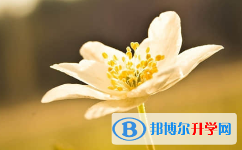 樂山2022年中考錄取