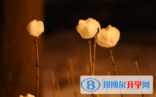 樂山2022年中考網錄取系統