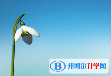 樂山2022年中考重點線
