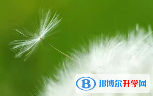 樂山2022年中考填報志愿后還可以改嗎