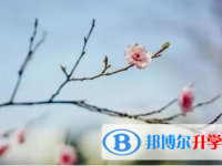樂山2022年中考調劑志愿