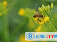 樂山2022年中考調劑志愿是什么意思