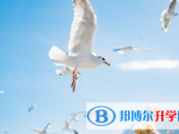 宜賓2022年中考查詢成績網址