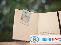 宜賓2022年中考查詢系統