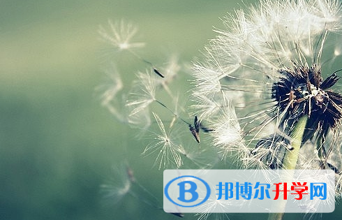 宜賓2022年中考查詢系統的密碼記不到了怎么辦