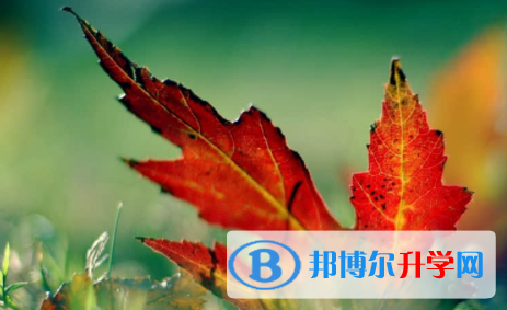 宜賓2022年中考網上學校