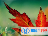 宜賓2022年中考網上學校