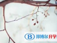 宜賓2022年中考學校排名