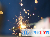 宜賓2022年中考招生網絡應用服務平臺