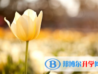 宜賓2022年中考志愿官網