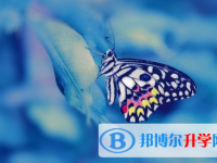 宜賓2022年中考重點復習資料