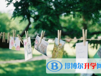 宜賓2022年中考準考證信息