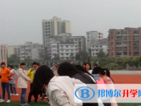 宜賓2022年中考自主招生報名有哪些學校